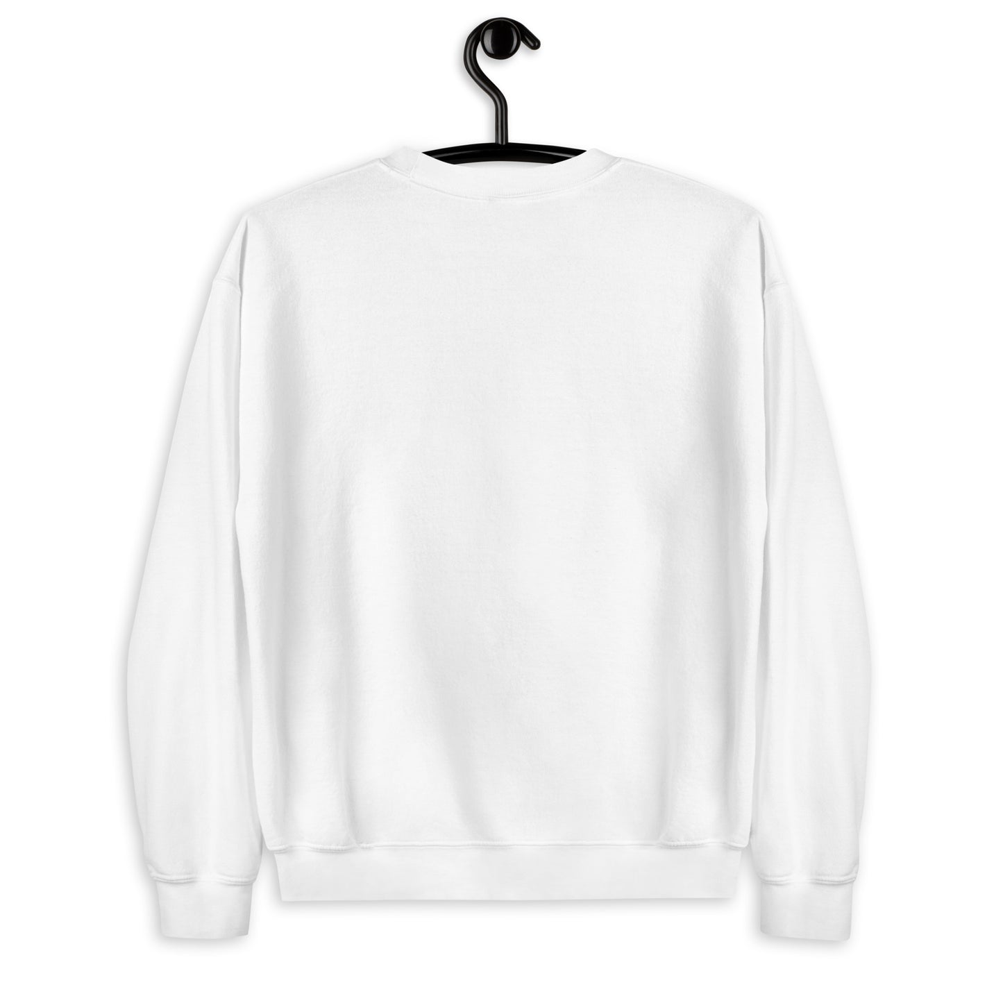 Desert Rats embroidered jumper, back view